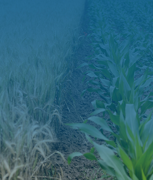 YT-NY12 農(nóng)藥檢測(cè)儀 核心賣(mài)點(diǎn)與常見(jiàn)問(wèn)題解答