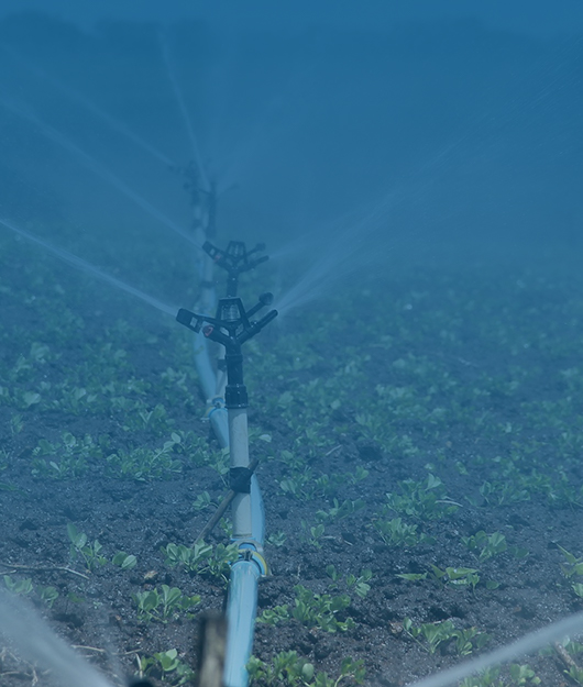 農(nóng)藥殘留檢測(cè)儀怎么選？2026 年主流廠(chǎng)家推薦與全場(chǎng)景選型指南