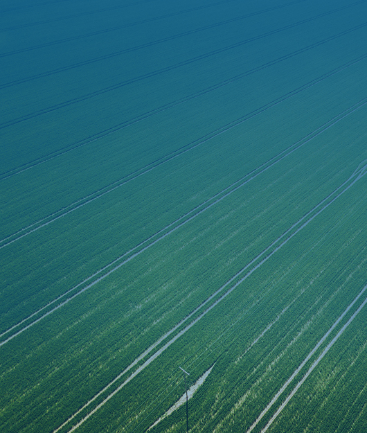 土壤肥料養(yǎng)分檢測(cè)儀農(nóng)業(yè)應(yīng)用白皮書(shū)