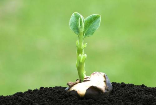 全項(xiàng)目土壤肥料養(yǎng)分檢測儀