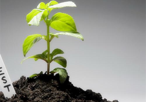 土壤肥料養(yǎng)分檢測(cè)儀 土壤肥料養(yǎng)分檢測(cè)儀